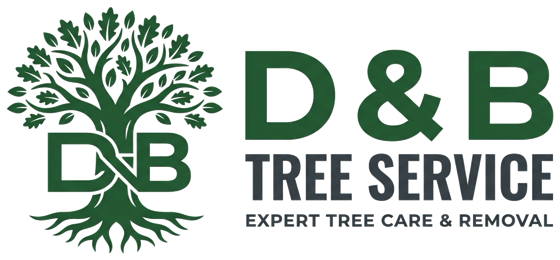 D & B Tree Service — Expert Tree Care & Removal, Howard City MI